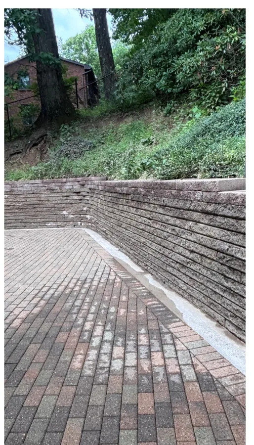 Moss-covered brick path