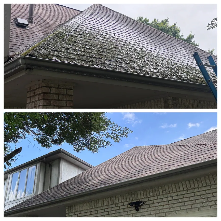Moss-covered roof after soft wash